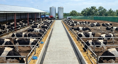 Alaklar besi çiftliği örnek bir yatırım olacak