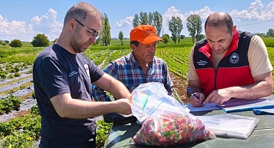 Çilek hasadı öncesi pestisit denetimleri yapıldı