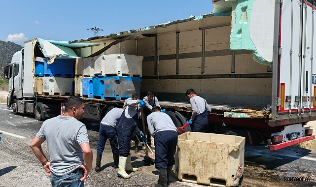 Dorse patladı, 15 ton balık atığı yola saçıldı