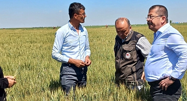 Karapınar’da dolu afetinin etkilediği alanlarda inceleme yapıldı