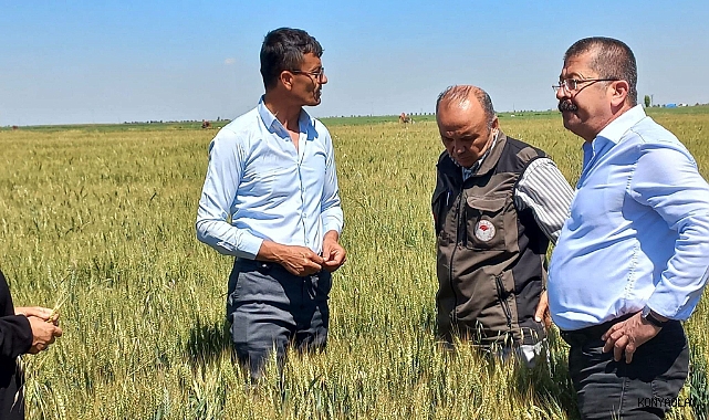 Karapınar’da dolu afetinin etkilediği alanlarda inceleme yapıldı