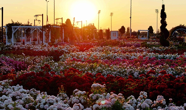 Karatay’da 190 çeşit gül görsel şölen sunuyor