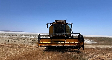 Konya’da arpa hasadı başladı