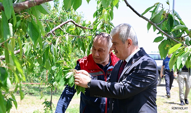 Konya Valisi Akın'dan sel ve dolunun vurduğu ilçede incelemeler