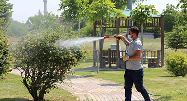 Yaz geldi, sinek ve haşereyle mücadele katlandı! Meram’da büyük seferberlik