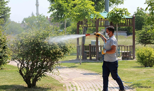 Yaz geldi, sinek ve haşereyle mücadele katlandı! Meram’da büyük seferberlik