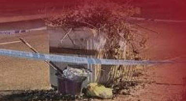 11 aylık bebeğin darbedilip çöpün kenarına bırakıldığı iddiası
