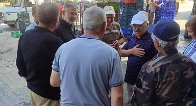 Akşehir'de kiraz hasadı yerinde incelendi
