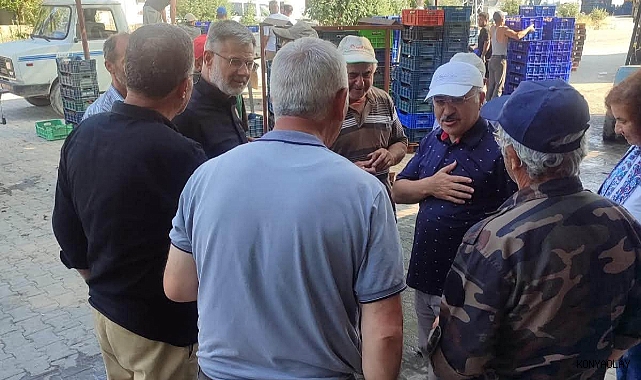 Akşehir'de kiraz hasadı yerinde incelendi