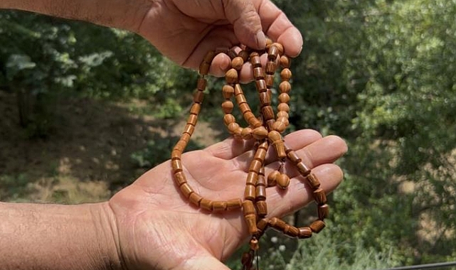 Andız çekirdekleri, koleksiyonluk tespihlere dönüşüyor
