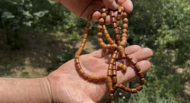 Andız çekirdekleri, koleksiyonluk tespihlere dönüşüyor