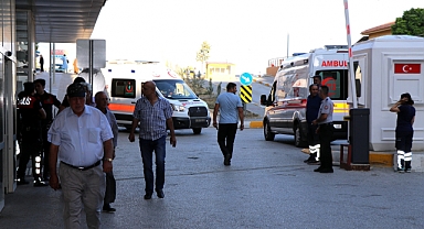 Arı sokmasıyla ilgili uzmanından hayat kurtaran uyarılar