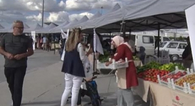 Ata tohumları gelir kapısı oldu