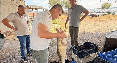 Beyşehir Gölü'nde avlanan balıklar tek tek kontrol edildi 