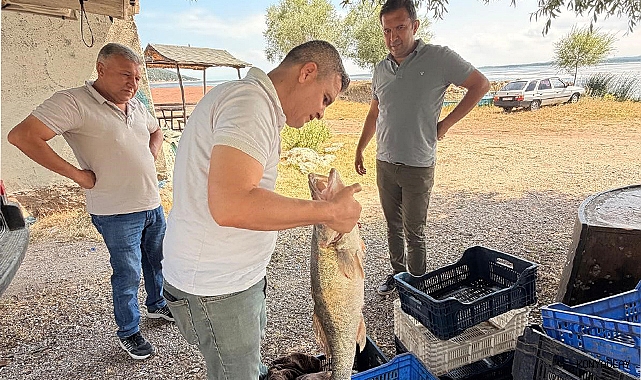 Beyşehir Gölü'nde avlanan balıklar tek tek kontrol edildi