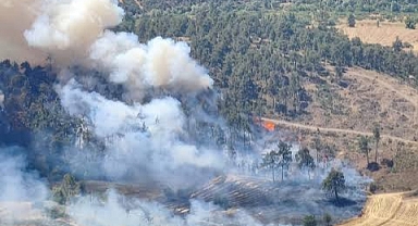 Boş arazide çıkan yangın tren istasyonuna sıçradı