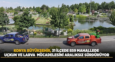 Büyükşehir 31 İlçede 859 Mahallede ilaçlamalara devem ediyor