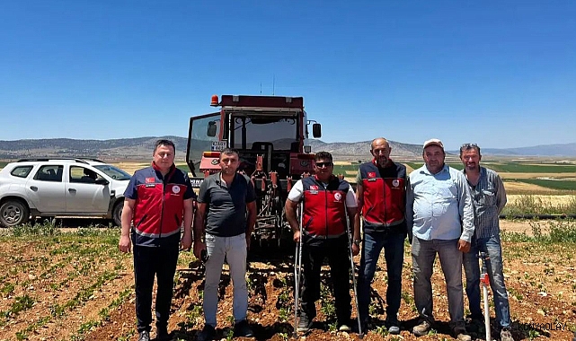 Çumra'da kuru fasulye alarm veriyor