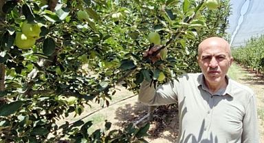 Elmada rekor üretime dolandırıcı uyarısı   