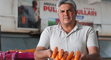  Havuç üretiminin yüzde 67'si Konya'dan 