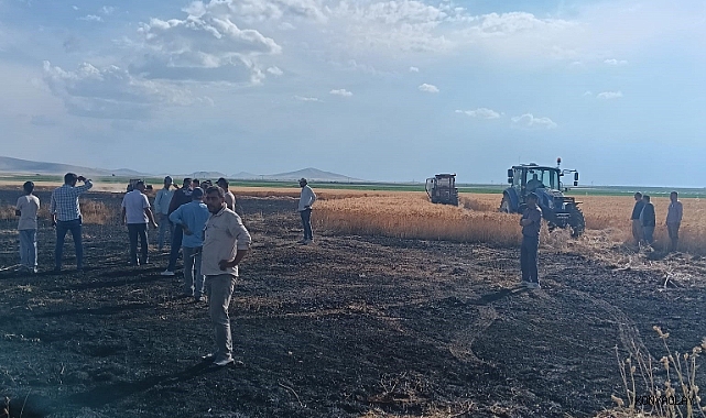 Karapınar'da buğday ekili tarlada yangın paniği