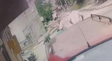 Kardeş katliamının zanlısıyla ilgili önemli gelişme
