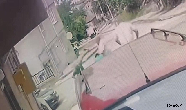 Kardeş katliamının zanlısıyla ilgili önemli gelişme