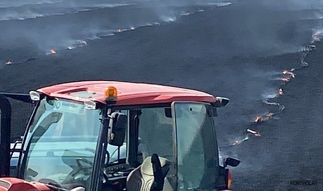 Konya'da tarla yangını: 500 dekar ekili alan kül oldu