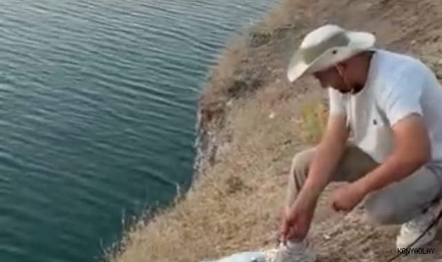 Oltaya balık yerine martı takıldı