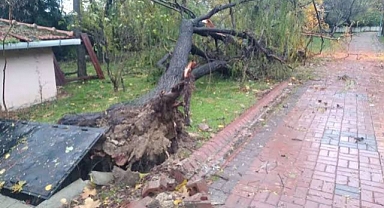 Sağanak ve hortum evin çatısına zarar verdi, iki ağacı kökünden söktü