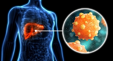 Sessiz tehlike Hepatit B