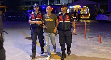 Ünlü yönetmen evini kenevir tarlasına çevirmiş